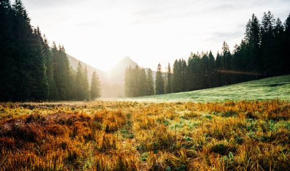 &copy; DER TEGERNSEE, Juliaan Rohn_Schwarzenbach_0019, &copy; DER TEGERNSEE