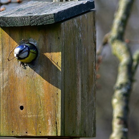 Lehr- und Erlebnisgarten, © pronatur