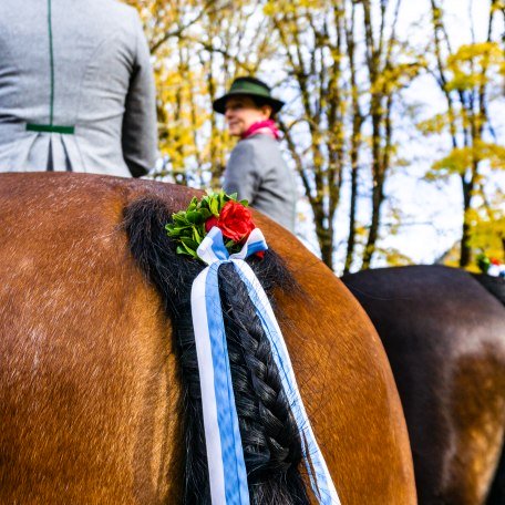 geschmückte Pferde samt Reiterinnen beim Leonhardiritt, © Der Tegernsee, Stefanie Pfeiler