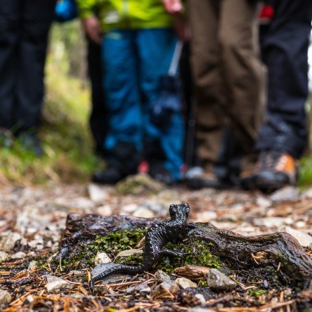 © Rose Travel © Rose Travel