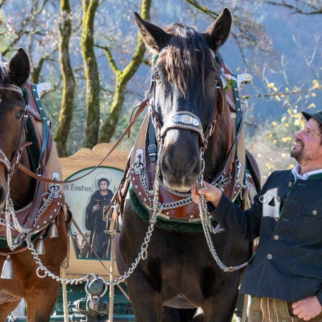 TTT_1124_TP_Brauchtum_Leonhardi_Kreuth_0066, © Thomas Plettenberg TTT_1124_TP_Brauchtum_Leonhardi_Kreuth_0066, © Thomas Plettenberg