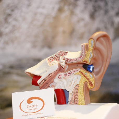 mg_0631, © Seegers Hörerlebnis mg_0631, © Seegers Hörerlebnis