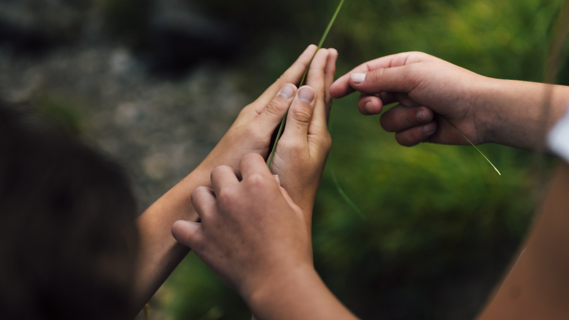 Naturschauspiel_Kreuth_7_5, &copy; Julian Rohn