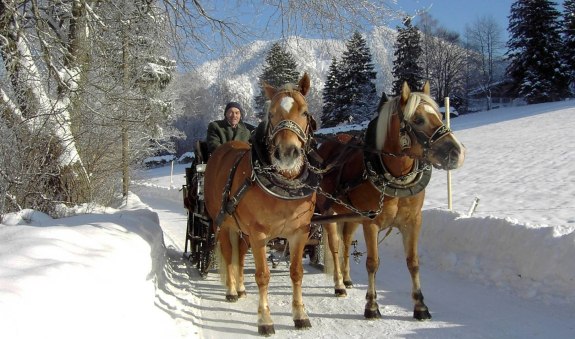 Pferdekutschfahrt, © Der Tegernsee