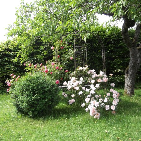 Vor dem Appartement, &copy; im-web.de/ Tourist-Information Gmund am Tegernsee