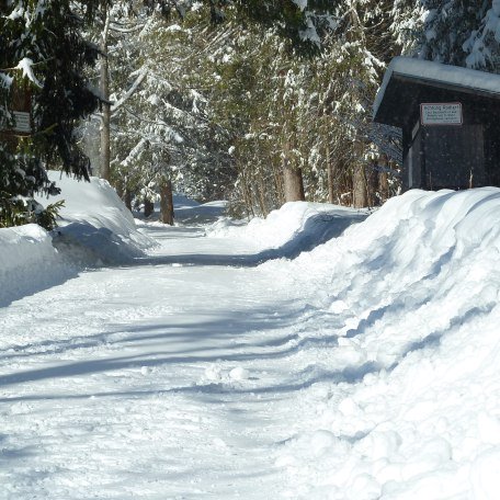 Rodelbahn_Hirschberg, © Kimpf