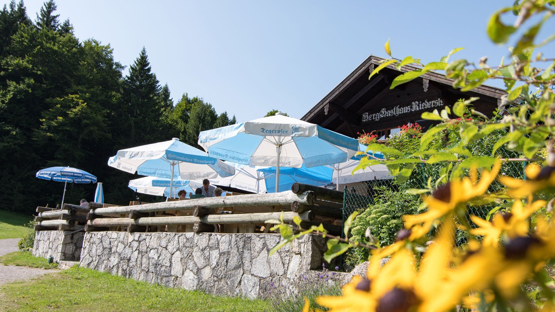 galaun002, © Thomas Müller