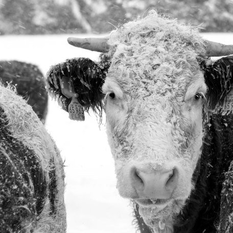 Thomas Plettenberg 06, &copy; Der Tegernsee (Thomas Plettenberg)