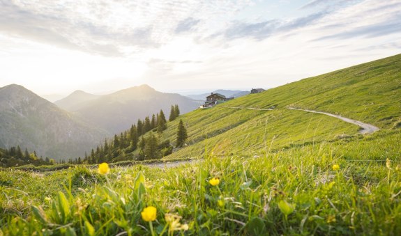 Hirschberghaus, © Tegernseer Tal Tourismus GmbH