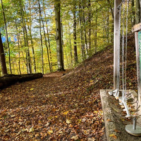 ttt_1123_mn_waldlehrpfad-laerchenwald_tegernsee_0059, &copy; Der Tegernsee (Maria Nopper)