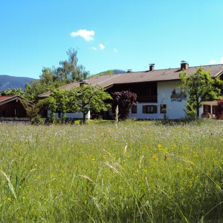 Unsere Blumenwiese im Mai/Juni, &copy; im-web.de/ Regionalentwicklung Oberland Kommunalunternehmen