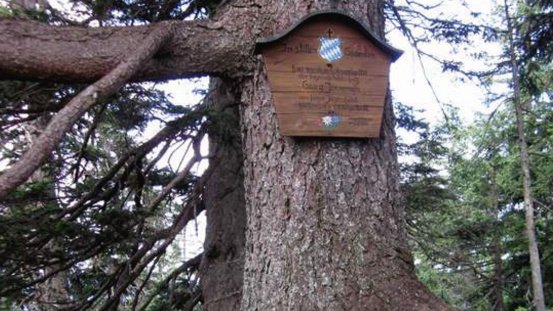 Auf den Spuren des Wildschützen Jennerwein, © Elisabeth Liedschreiber Auf den Spuren des Wildschützen Jennerwein, © Elisabeth Liedschreiber