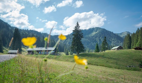 Die Schwarzentenn-Alm, &copy; Der Tegernsee