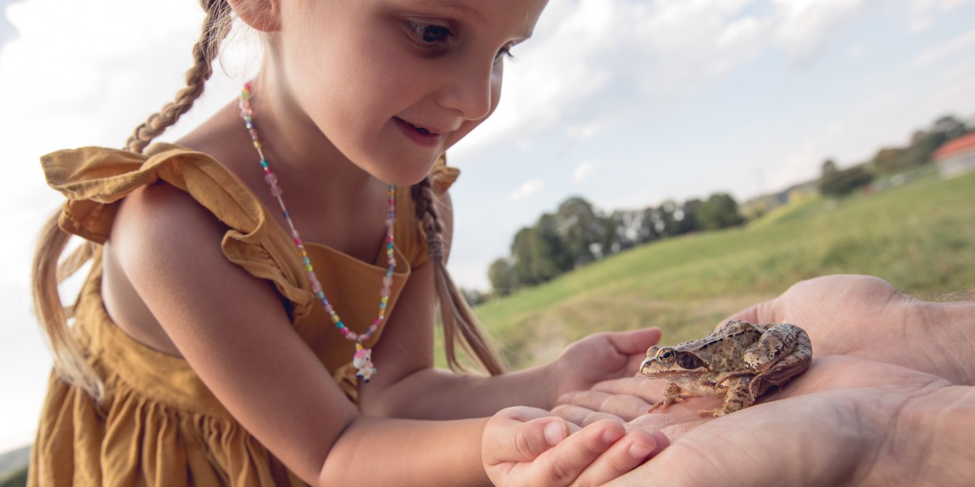 Frosch in der Hand, © Hansi Heckmair