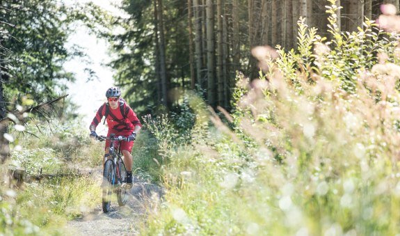 Mountainbiker auf Trail am Tegernsee, &copy; Julian Rohn