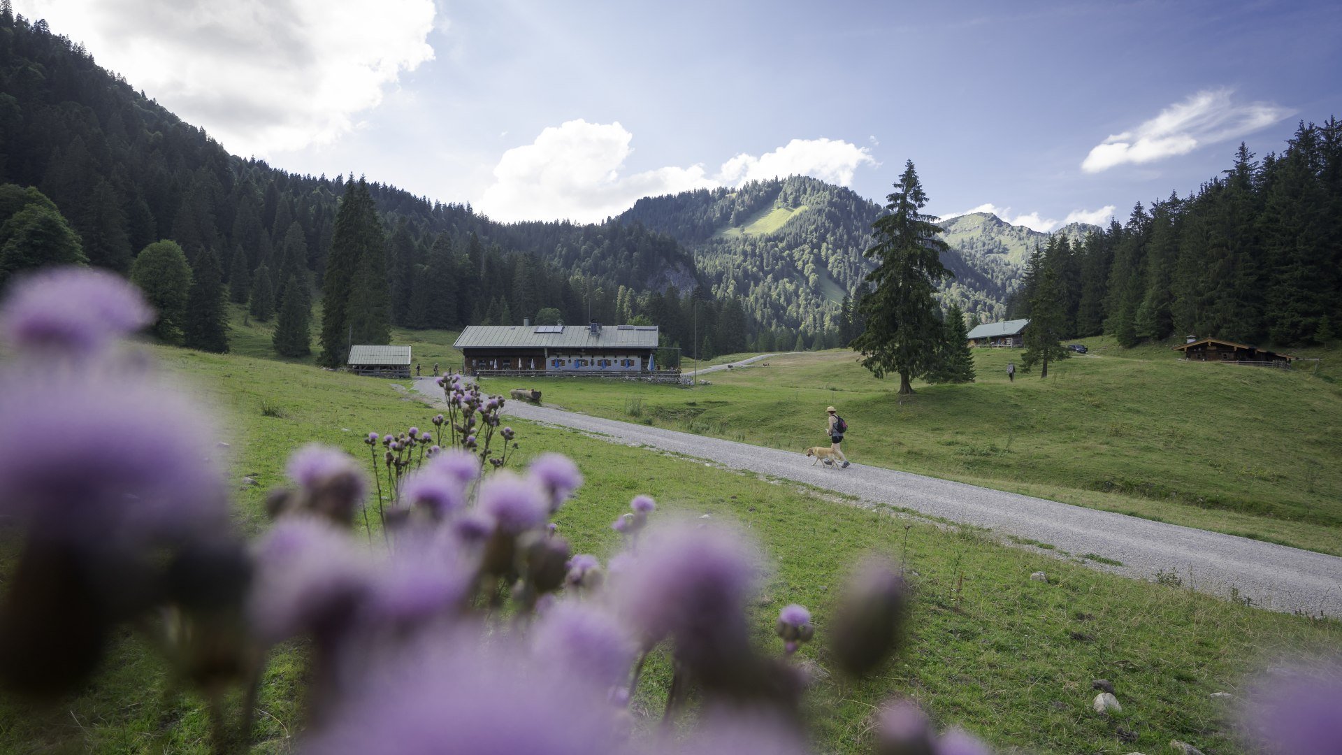 Die Schwarzentenn-Alm, © Der Tegernsee