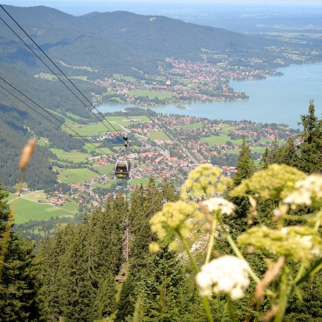 wallberg_fotograf_gisela-schregle_140804_35, &copy; Gisela Schregle