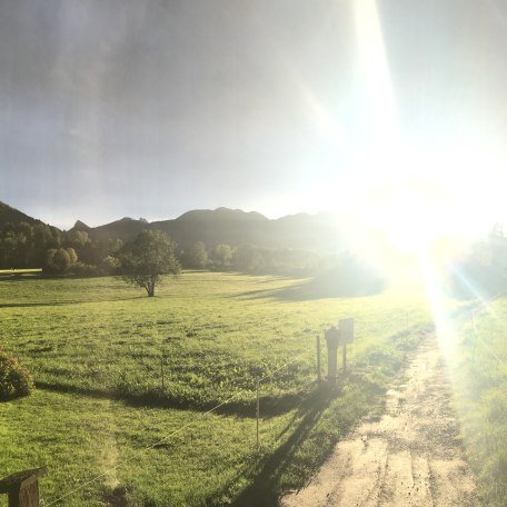 Cafe Angermaier Cafe Angermaier