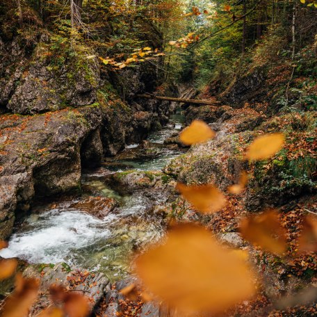 &copy; DER TEGERNSEE, Juliaan Rohn_Schwarzenbach_0042, &copy; DER TEGERNSEE