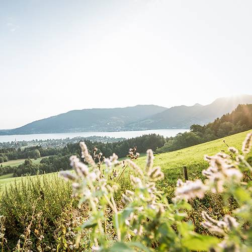 Ebike Am Tegernsee